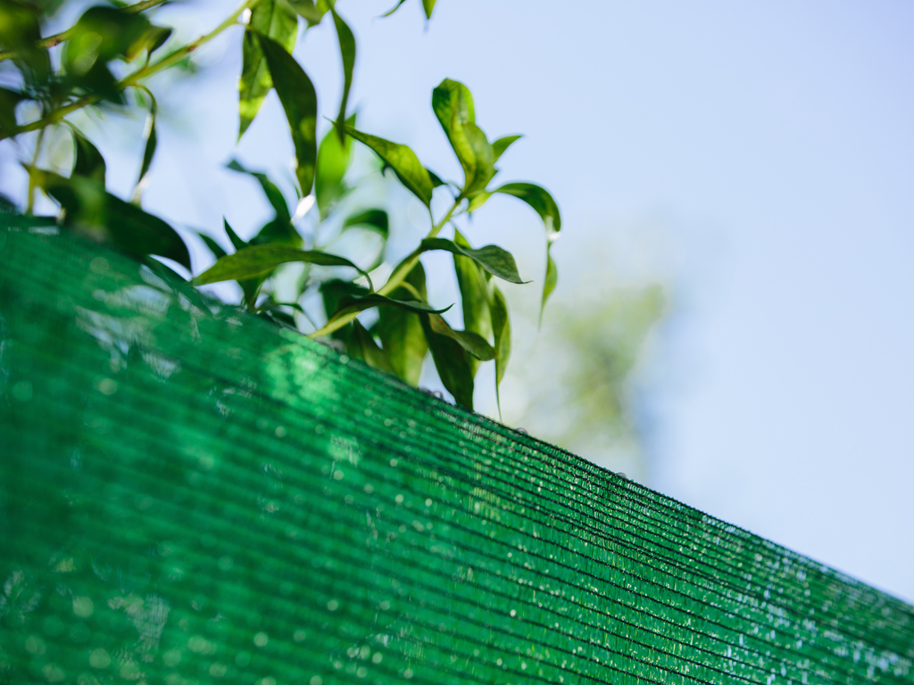 MESHNET MALLA OCULTACION 120 GR 1 X 50 VERDE