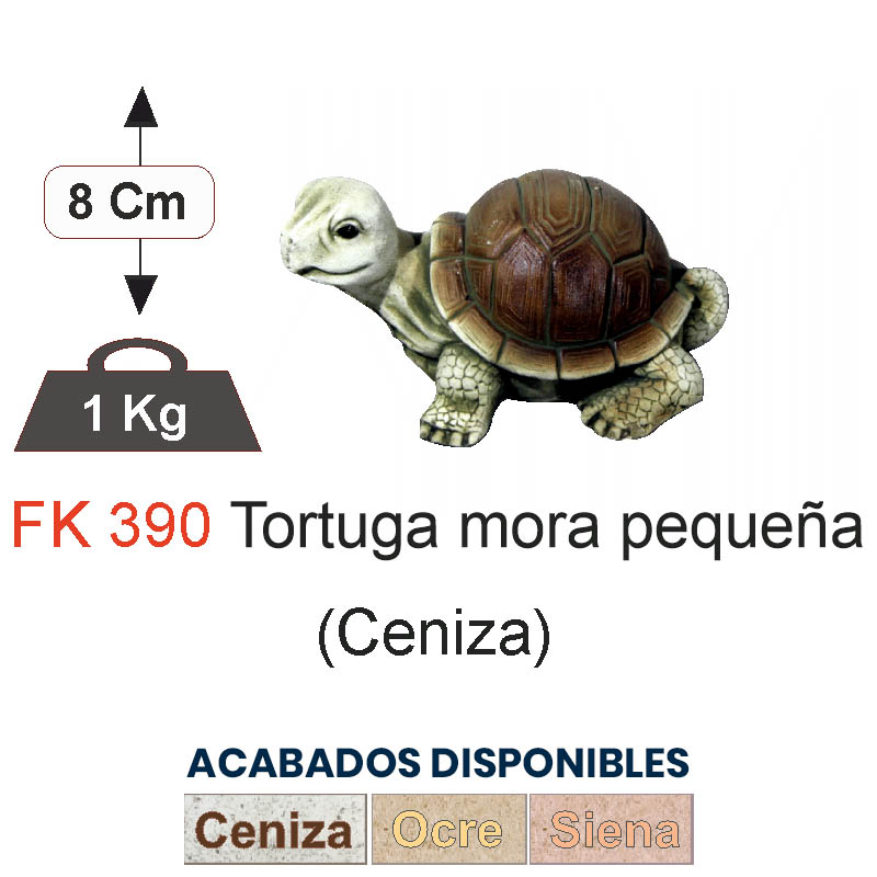 TORTUGA MORA PEQUEÑA (CENIZA)